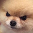 :angery: