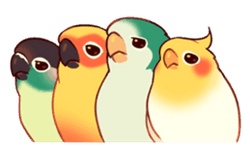 :birdsno: