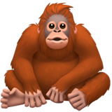 :orangutan2: