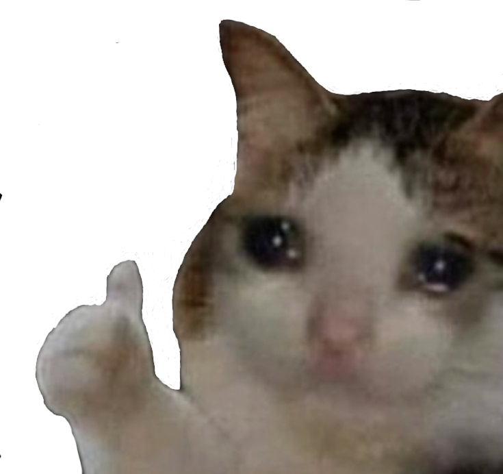 :sadcatthumbsup:
