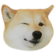 :shibwink: