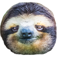:sloth:
